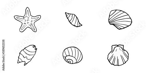 Hand drawn seashells set. Various sea shells types. Best for using in nautical and marine themed designs.