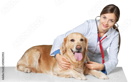 Fototapeta Naklejka Na Ścianę i Meble -  Attractive young female doctor with funny canine patient