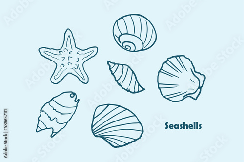 Hand drawn seashells set. Various sea shells types. Best for using in nautical and marine themed design