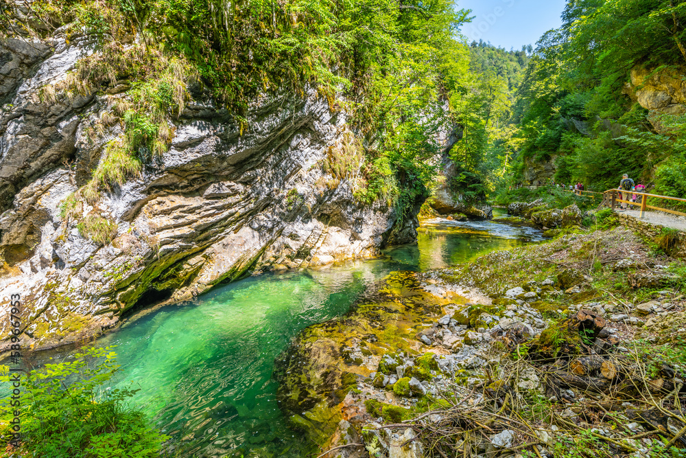 Crystal-clear water of the Radovna river in a deep rocky canyon of Vintgar. Triglav National Park, Slovenia