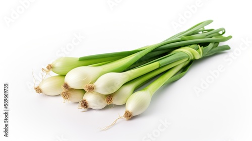 Green onion isolated on white background
