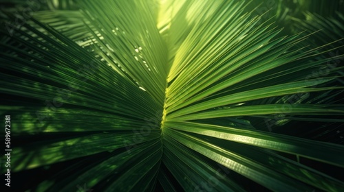 Green palm leaves tropical background. Illustration AI Generative © cac_tus