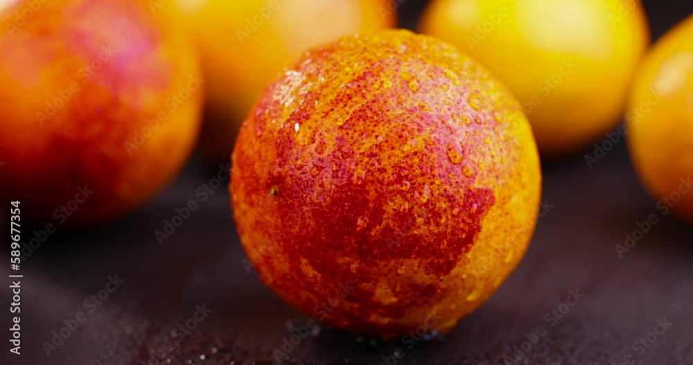 yellow-red orange peel covered with water drops, red ripe orange wet and in drops of pure water, close-up yellow-red orange peel covered with water drops, red ripe orange wet and in drops of pure water, close-up