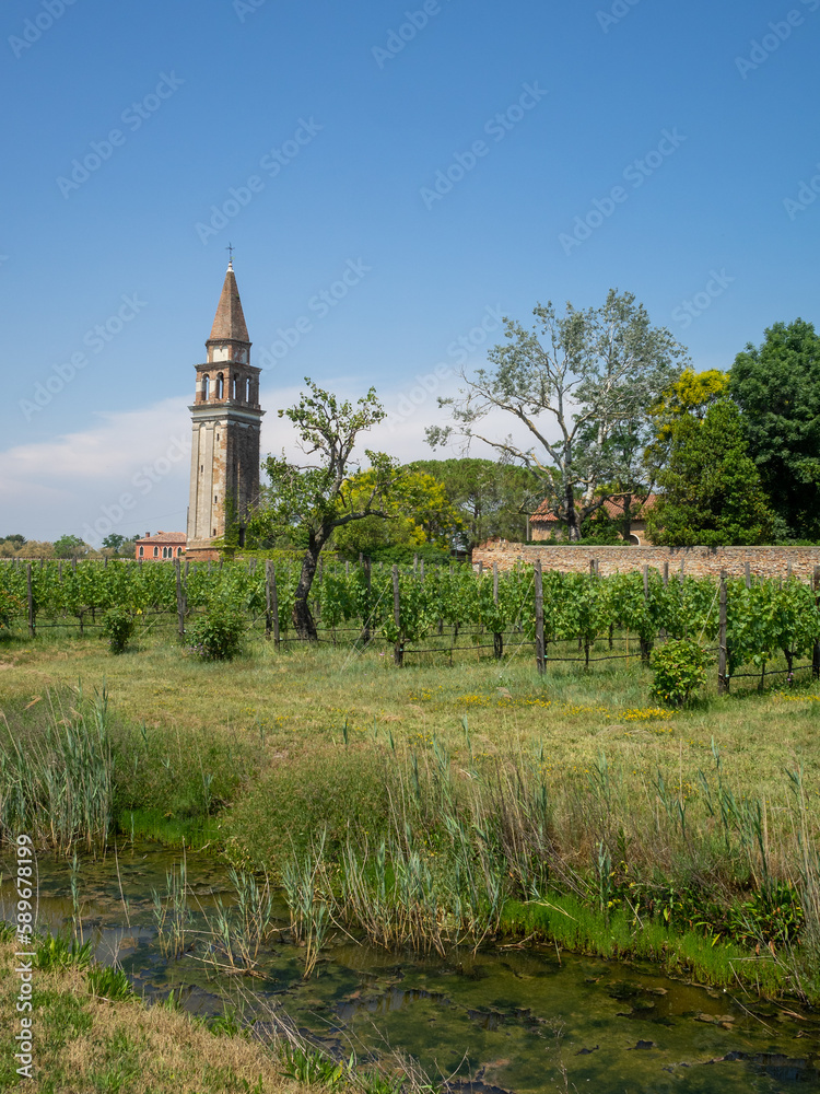 Mazzorbo island Mazzorbo island