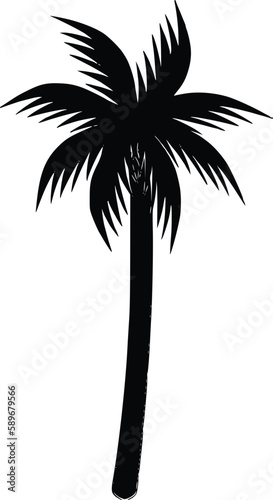 coconut tree silhouette