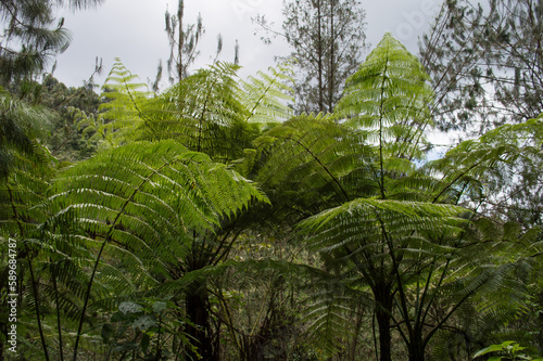 wet fauna