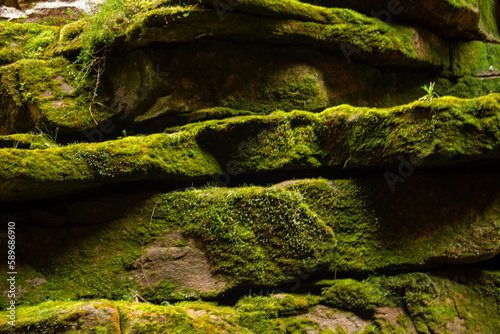 Rocks lime texture © Helder