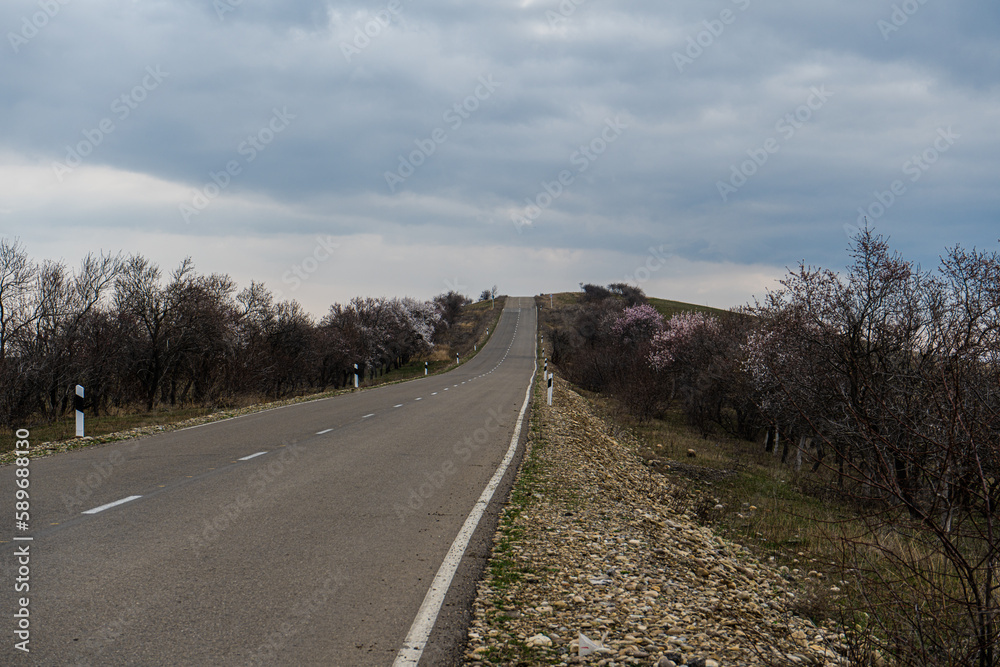 Road in Garedja desert