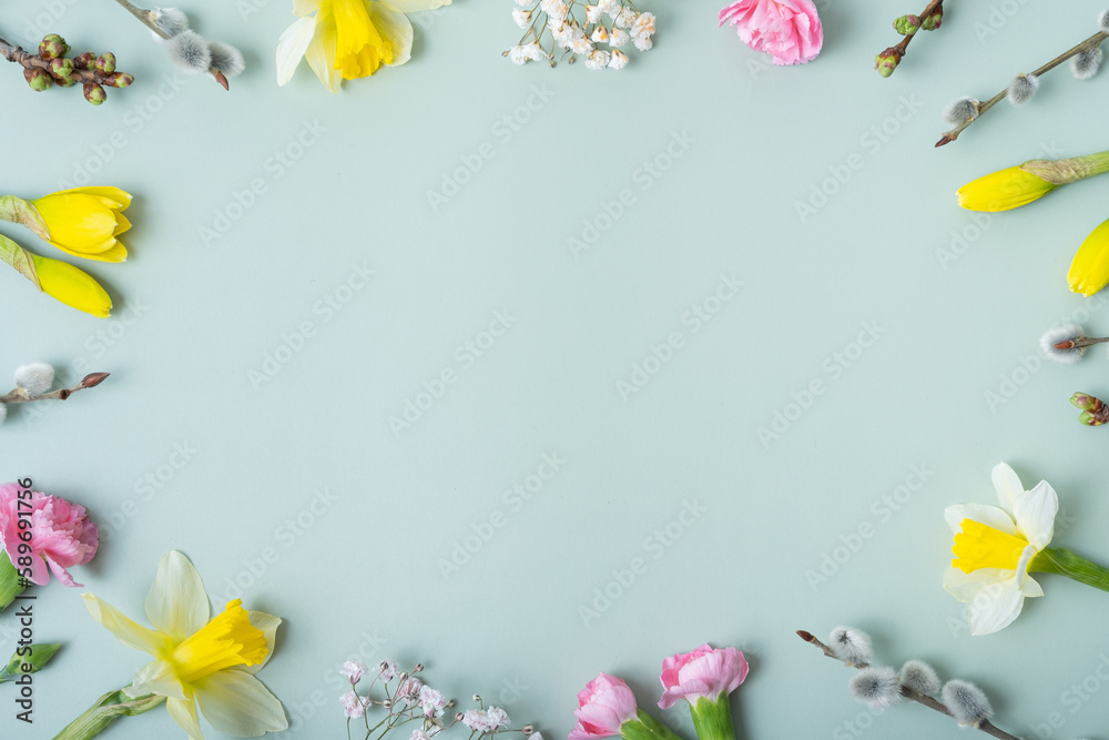 Spring flowers flat lay frame composition on colored background with copy space. Daffodils and willow with carnations top view Spring flowers flat lay frame composition on colored background with copy space. Daffodils and willow with carnations top view