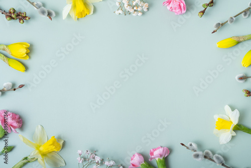 Spring flowers flat lay frame composition on colored background with copy space. Daffodils and willow with carnations top view