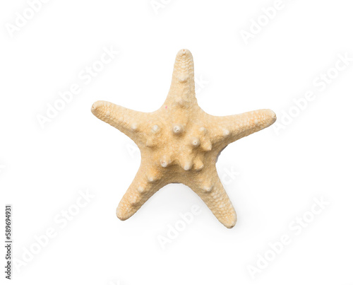 Small starfish isolated on white, top view