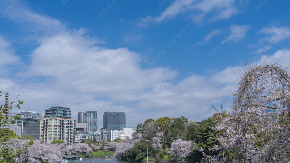 【東京都】春の桜と千鳥ヶ淵・ボート場