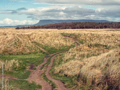 Wild grass field with walking paths and Benbulben flat top mountain in the background in county Sligo, Ireland. Warm sunny day with blue cloudy sky. Popular tourist area. Irish nature scene. photo