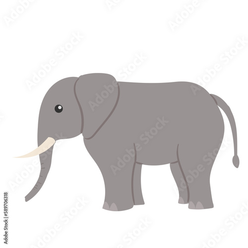 elephant isolated on white background