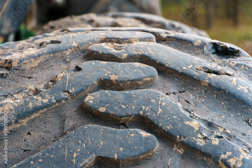 A large tire close-up from a truck. A huge dump truck in the forest. A truck for transporting wood and tree trunks. Deforestation, forestry industry.