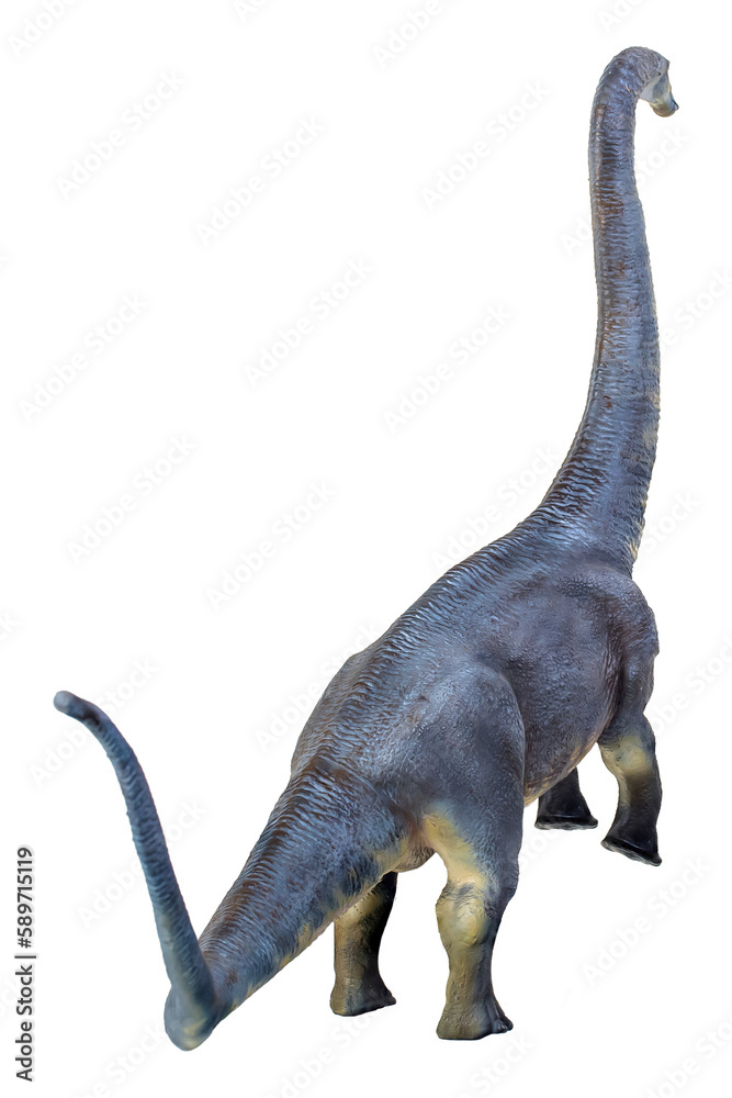dinosaur , Brontosaurus isolated background dinosaur , Brontosaurus isolated background