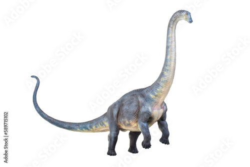 dinosaur   Brontosaurus isolated background