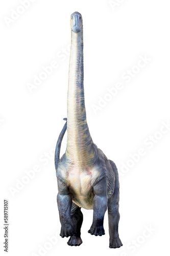 Fototapeta Naklejka Na Ścianę i Meble -  dinosaur , Brontosaurus isolated background
