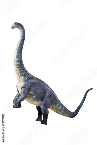 dinosaur , Brontosaurus isolated background © meen_na