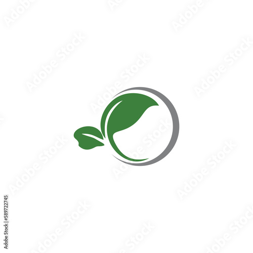 green leaf nature vector logo design
