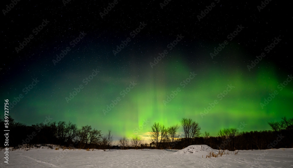 Bright green and yellow aurora in a dark blue sky with stars above a snow covered beaver pond with a beaver lodge in the foreground.
Bright green and yellow aurora in a dark blue sky with stars above a snow covered beaver pond with a beaver lodge in the foreground.