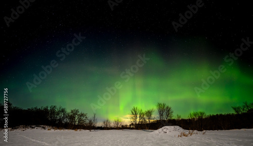 Bright green and yellow aurora in a dark blue sky with stars above a snow covered beaver pond with a beaver lodge in the foreground.  © Craig Taylor Photo