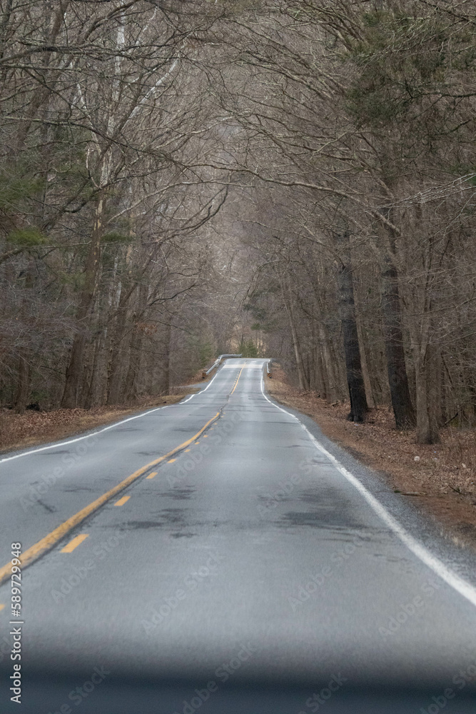 Winding Country Road in West Virginia 