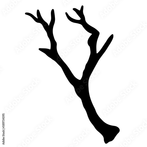 branches and tree trunks transparent illustration