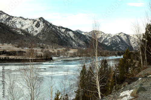 A look through the birch trunks at the frozen bed of a beautiful mountain river on a clear winter day.