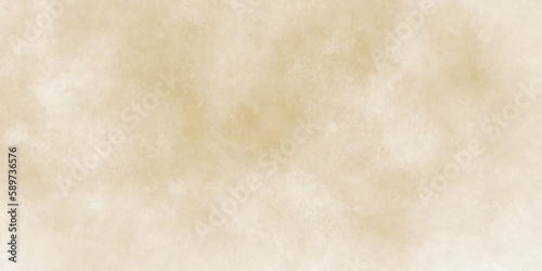 Brown watercolour background, Watercolour painting soft textured on wet white paper background, Abstract brown watercolor illustration banner, wallpaper