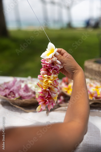 Woman making Hawaiian Lei and Hahu. Process of Handmade flower crown made from Hawaii flower Plumeria.