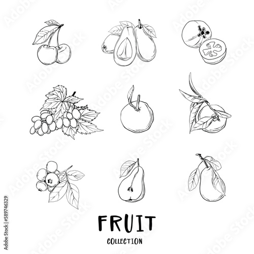 Vector sketch fruits and berries icons set.  Collection hand drawn farm product for restaurant menu, market label.