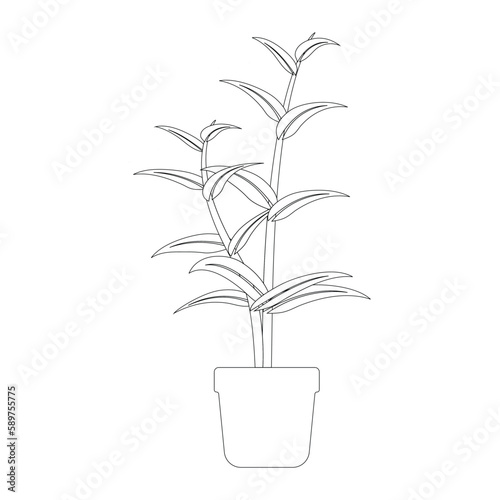  leaf icon vector illustration simple design