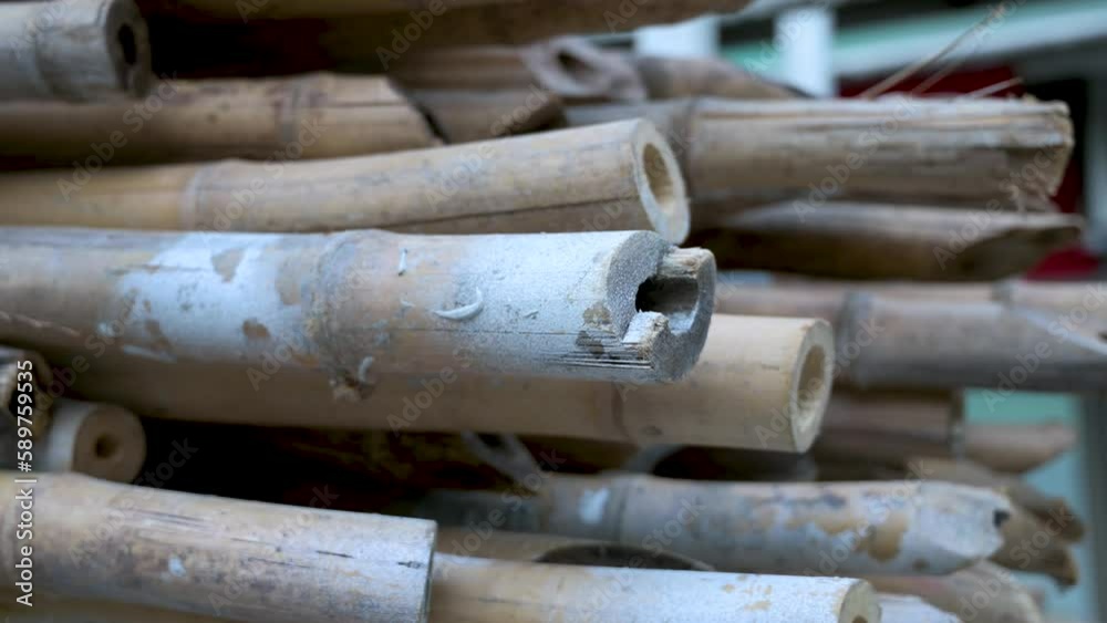 Cut bamboo stick poles to be used for scaffolding, construction, and building maintenance. Cut bamboo stick poles to be used for scaffolding, construction, and building maintenance.