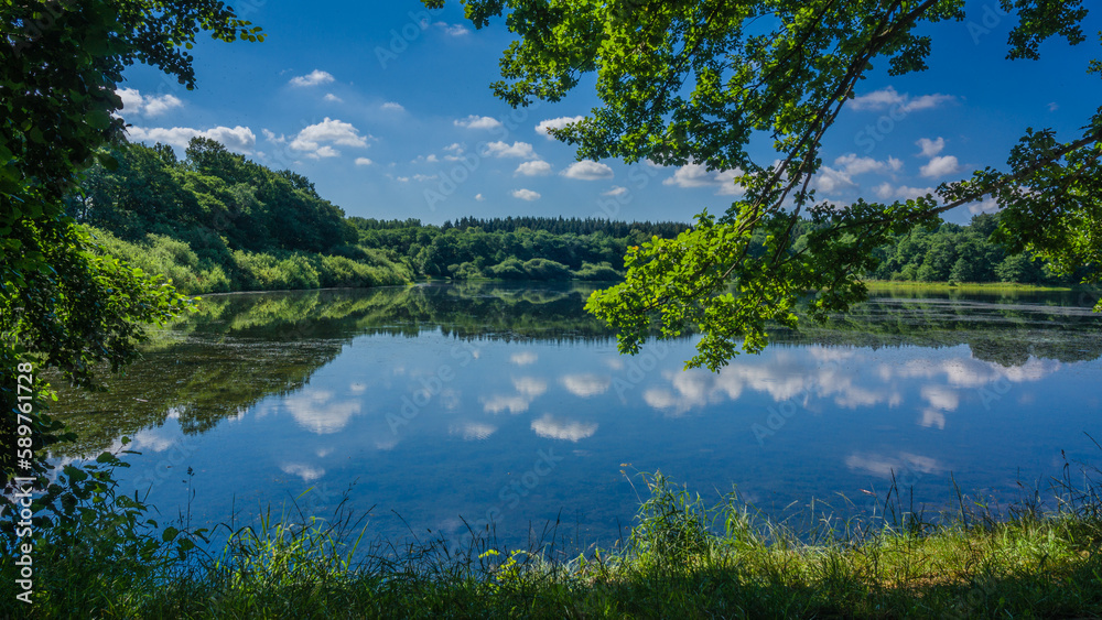 Fototapeta premium Freilingen, Sommer Ausblick