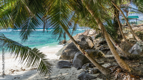 Palm trees lean over a secluded sandy beach. Leaves against the sky and turquoise ocean. Boulders are piled up on the shore. Seychelles.  Moyenne Island. Sainte Anne Marine National Park