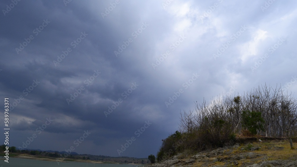 Dead trees near lake with cloudy sky as background. Dead trees near lake with bright and cloudy sky as background. Dead trees near lake with cloudy sky as background. Dead trees near lake with bright and cloudy sky as background.
