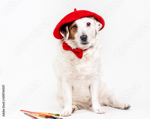 Dog sitting in a red beret with tassels on a white background. The concept of creativity, art. © Наталья Майшева