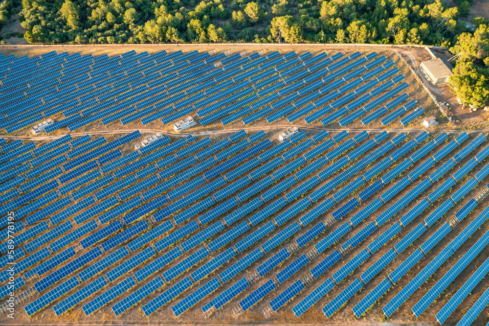 Farm of photovoltaic panels.