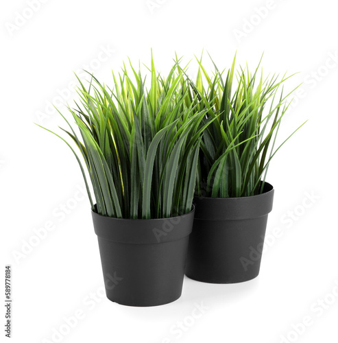 Artificial grass on white background