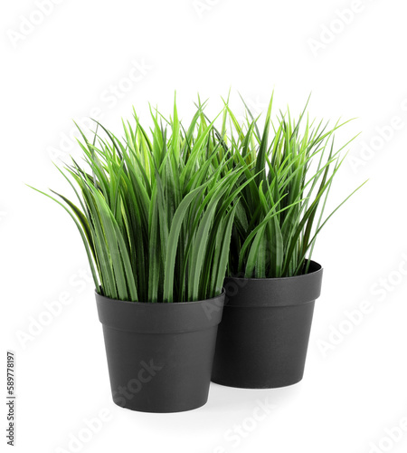 Artificial grass on white background