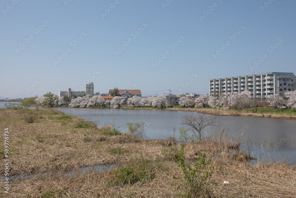 新潟市の風景