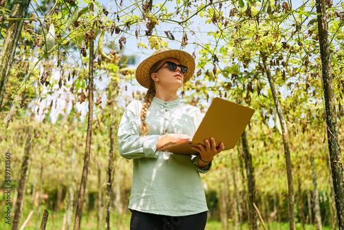 Female agronomist with laptop observes harvest loss on farm. Caucasian woman farmer inspecting drought consequences enters data into computer. Modern agribusiness, precision farming concept. © artiemedvedev