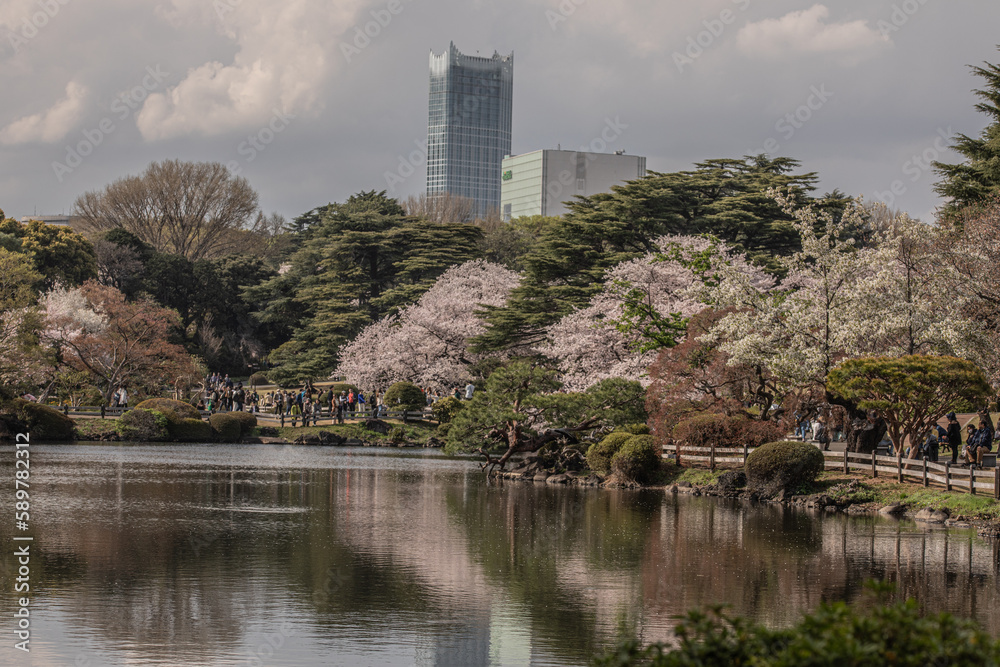 東京都内の風景 東京都内の風景