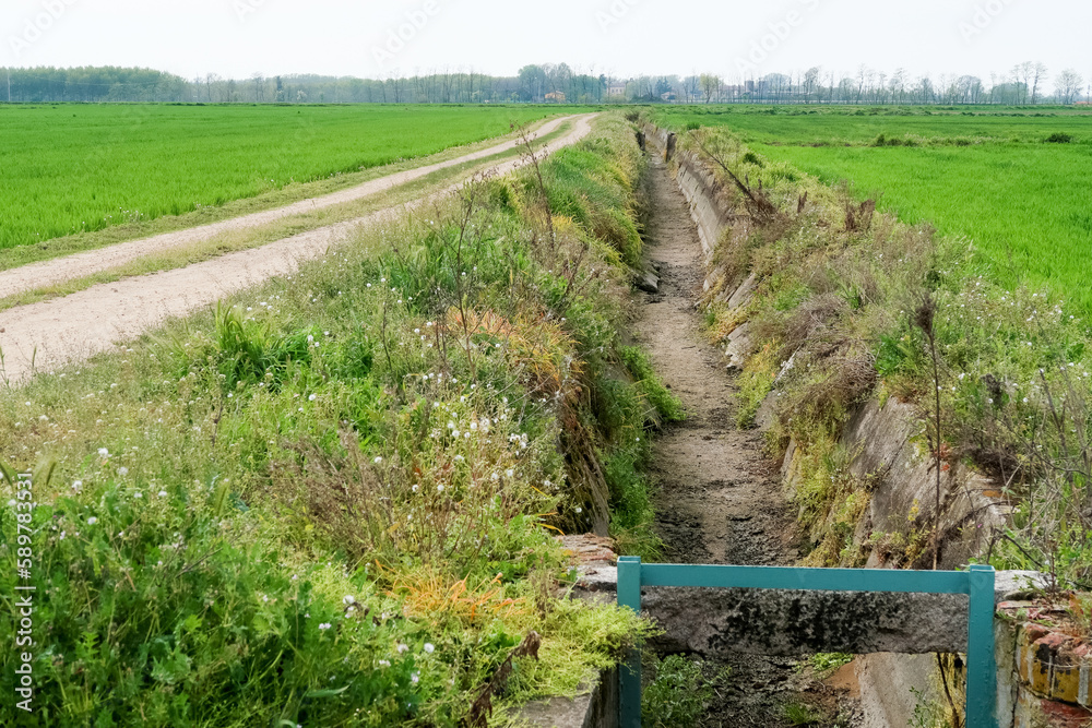Obraz premium Po Valley Panorama Landscape Fields Agriculture Sky Horizon Color Blue Trees Earth Terrain Italy Italian