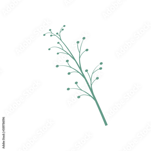 Green twig with leaves and buds close-up  isolated  on a transparent and white background. Element for design decoration. Vector image  illustration  graphic design.