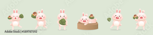 6 kinds of cute rabbits and Chinese Dragon Boat Festival traditional food Zongzi, glutinous rice wrapped in bamboo leaves