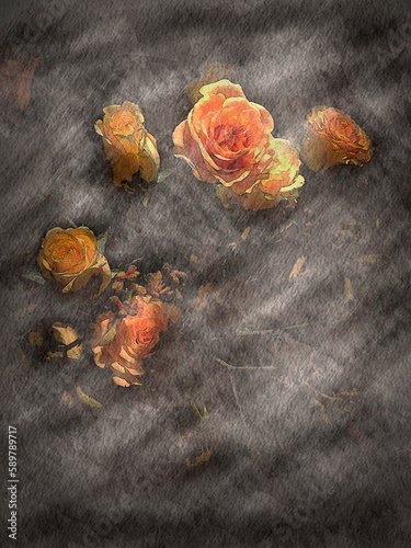 Orange roses watercolor on black gradient background