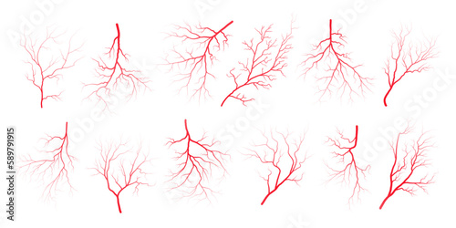Human eye blood veins vessels silhouettes vector illustration set isolated on white background. Eyeballs red veins anatomical collection of human blood vessel artery health system.