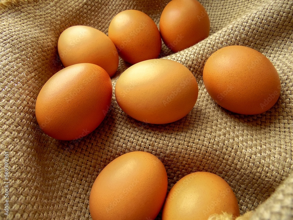 eight chicken eggs lie in a basket on a coarse cloth eight chicken eggs lie in a basket on a coarse cloth